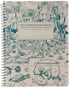 Decomposition Notebooks - main view